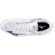 Mizuno Wave Dimension
